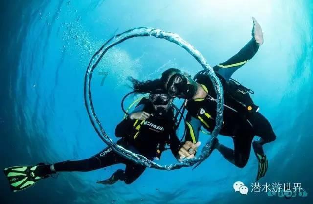 网友与流浪猫、狗的暖心故事！当网友遇上不请自来的小家伙们